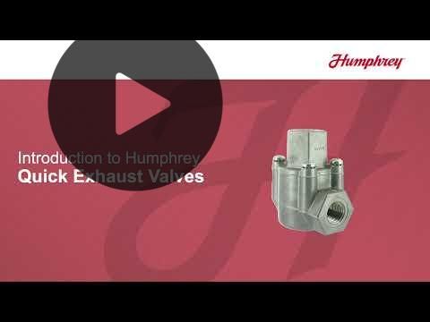 Schnellentlüftungsventil - 3/4 NPT - Polyurethan